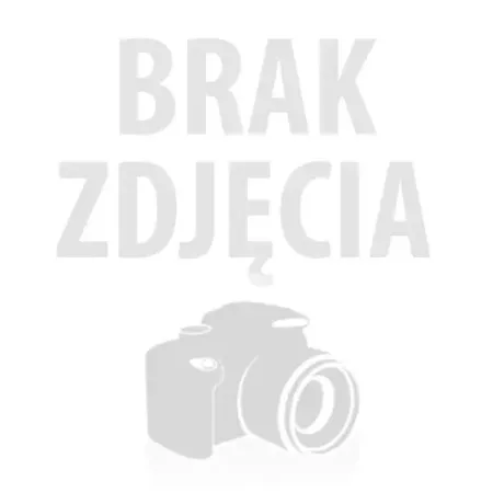 MEYLE ŁOŻYSKO KOŁA FIAT PRZÓD DUCATO/BOXER/JUMPER 06-