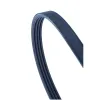 CONTITECH PASEK WIELOROWKOWY 4PK1538
