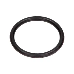 OE BMW ORING ELEKTROZAWORU BMW VANOS DUŻY (34X3,52) 1 E87 116I,  3 E46, 5 E60, 5 E61, X1, X3, X5