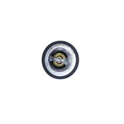 MEYLE TERMOSTAT RENAULT 89C MEGANE