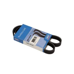 SKF PASEK WIELOROWKOWY 6PK905